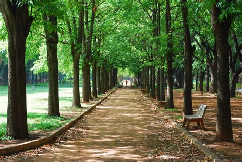 11 Famous Parks In Bangalore: The Garden City Of India.